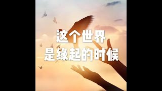 201604 这个世界是缘起的世界21768