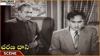 Charana Daasi Movie || SVR Arguing With ANR For Cheating Savitri || NTR, Savitri || Shalimarcinema