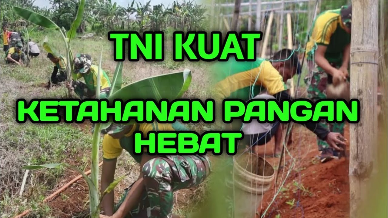 Pemanfaatan Lahan Kosong Untuk Ketahanan Pangan - Divif 3 Kostrad - YouTube