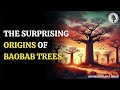 how baobab trees journeyed from madagascar to africa and australia wion podcast