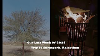 How Did We Spend The Last Week Of 2022 II Trip To Suratgarh, Rajasthan II Many New Experiences