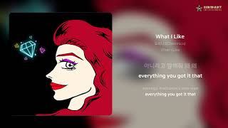 도미니코(Dominico) - What I Like | 가사 (Lyrics)