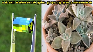 வாழ்நாளில் இதுவரை நீங்கள் பார்த்திடாத சில விஷயங்கள்! | Things You Will See First Time in Your Life