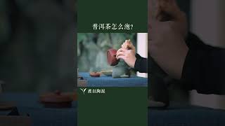 如何泡好一壶#普洱茶 ？这几点你必须知道！#茶 #茶知识了解一下#以茶会友#茶叶#茶知识 #普洱茶 加wechat：zcj049