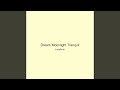 Dream Moonlight Tranquil