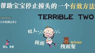 【索菲】你家2歲寶寶發脾氣就撞頭、咬自己、拽頭髮嗎？美國兒童心裡學家教您一招搞定熊孩子！《可怕的兩歲》II【書評】【女性成長】【勵志職場】【育兒心裡】【幼兒健康百科】【育兒科普】