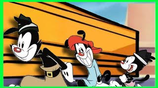 Animaniacs - Coffin Dance Song (Brown Robin Bird Remix) 🎹 SEASON 1 🪗