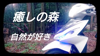 【バイクと中高年の癒し】原付二種アドレス110で行く自然の癒し。