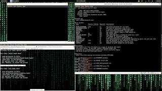 Brute force SSH with ssh login using Metasploit via msfconsole