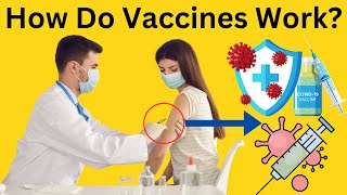 How Do Vaccines Work in Our Body With the Immune System | Simple Explanation With Animation |