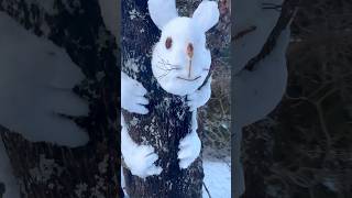 അണ്ണാനോ🐿മുയലോ🐇🤔#mallusinfinland #winter #ytshorts #kerala #malayalam #snow #satisfying