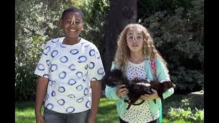 מותחים בהליכה | בואש | Walk The Prank