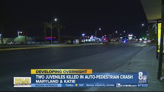 Two juveniles killed in auto-pedestrian crash