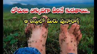 They Are Mostly Bitten By Mosquitoes  - దోమలు ఎక్కువగా వీరినే కుడతాయి.. ఆ లిస్టులో మీరు వున్నారా?