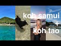 Thailand Vlog | relaxing, capybaras, beach days