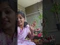 துளசி பூஜை🌺🙏 friday tulsi shorts shortsfeed minivlog positivevibes viral video videos god