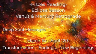 ♓️Pisces | This Is BIG! Pisces Is Feeling This More Than Any Other Sign!