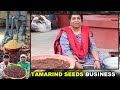 చింత గింజల వ్యాపారం how to start tamarind seeds business tamarind seeds business ideas in telugu