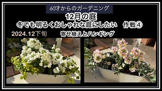 12月下旬の庭　冬でも明るくおしゃれな庭にしたい作戦④