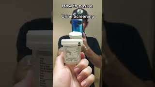 How To Pass a "Urine Screening" at Quest #shorts