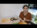 unboxing u0026 review ular belang boiga dendrophila cincin emas