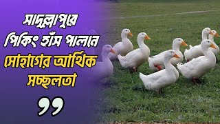 সাদুল্লাপুরে পিকিং হাঁস পালনে সোহাগের আর্থিক সচ্ছলতা