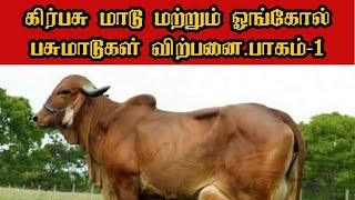 கிர் மாடுகள் விற்பனை, மற்றும் காங்கிரேஜ்  ஓங்கோல் மாடுகளும் விற்பனை, / gir cow farm in tamilnadu