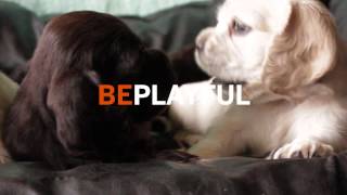 Beyond Spots & Dots Commercial