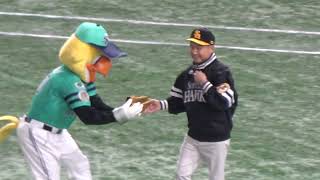 鷹の祭典！孫正義オーナーの始球式！ソフトバンクホークスvs楽天イーグルス【野球】Softbank hawks vs Rakuten Golden Eagles【baseball】 2023/06/26