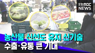 농산물 신선도 유지 기술‥수출·유통 큰 기대 (2021.03.22/뉴스투데이/포항MBC)