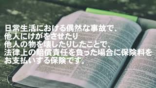 これはオススメ！自動車保険に付帯できる“個人賠償”について【クルマの保険】【補償解説】