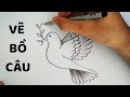 Vẽ Chim Bồ Câu đơn giản - How to draw a Dove