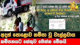 අදත් පොළොව කම්පා වූ වැල්ලවාය - කම්පනයට හේතුව මෙන්න මේකයි - Hiru News