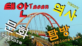 태안 역사문화탐방 (Taean history and culture tour) 꽃지해변 안면송림 드로니항 몽산포해변 태안마애삼존불상