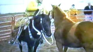 Chestnut horse pt.1. Three Masters video.