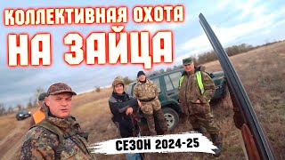 СТОЛЬКО ЗАЙЦА мы еще не видели! Открытие сезона!Hare hunting.#охотаназайцапочернотропу #охотаназайца