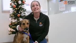 Foster, Please: Make fostering a homeless pet your New Year's resolution