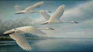 "The Wild Swans at Coole" by W.B. Yeats (read by Tom O'Bedlam)