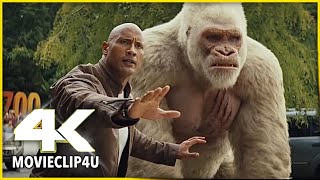 Rampage (2018) - Giant Gorilla Attack Scene | MᴏᴠɪᴇCʟɪᴘ4ᴜ -〚HD〛
