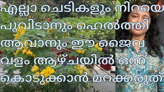 എല്ലാ ചെടികളും നിറയെ പൂവിടാനും ഹെൽത്തി ആവാനും ഈ ജൈവ വളം ആഴ്ചയിൽ ഒന്ന് കൊടുക്കാൻ മറക്കരുത്