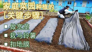 【丽的庭院生活　7】|谁杀死了我的马铃薯宝宝？|家庭菜园|种菜栽苗前须知|必做的关键步骤|