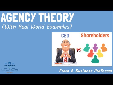 Why is agency theory important?