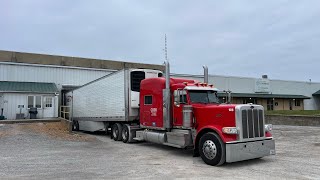 5 REASONS TO BUY A 389 PETERBILT