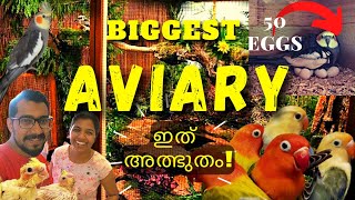 Home AVIARY Making Video | DIY Bird Cage | എല്ലാ കൂട്ടിലും കുഞ്ഞുങ്ങൾ !How to make exotic bird cage!