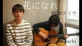 【Cover】花になれ / 指田フミヤ　【Covered by 橋口智紀】