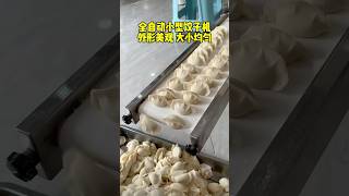 全自动饺子机  CE/NSF认证 模具可更换调整 #machine #noodlesfactory #chinesefactory #food #noodles