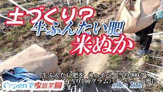 【春から夏の 土づくり、米ぬか】野菜がすくすくと育つ、柔らかい”ふかふかの土づくり”と”心に星” 家庭菜園  2025.1.25 siba life #土づくり #家庭菜園 #育て方 ・