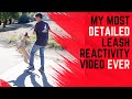 Training a rescue from the streets//Severe leash reactivity