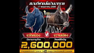 #ถ่ายทอดสดวัวชน รายการวัวชน วันที่ 17 พฤษภาคม 2566 สนามชนโคบ้านนาทราย