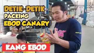 DETIK-DETIK Packing Ebod Canary